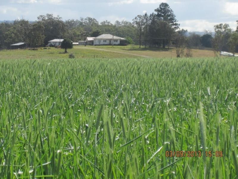 1521 Sextonville Road, Dobies Bight, Casino NSW 2470