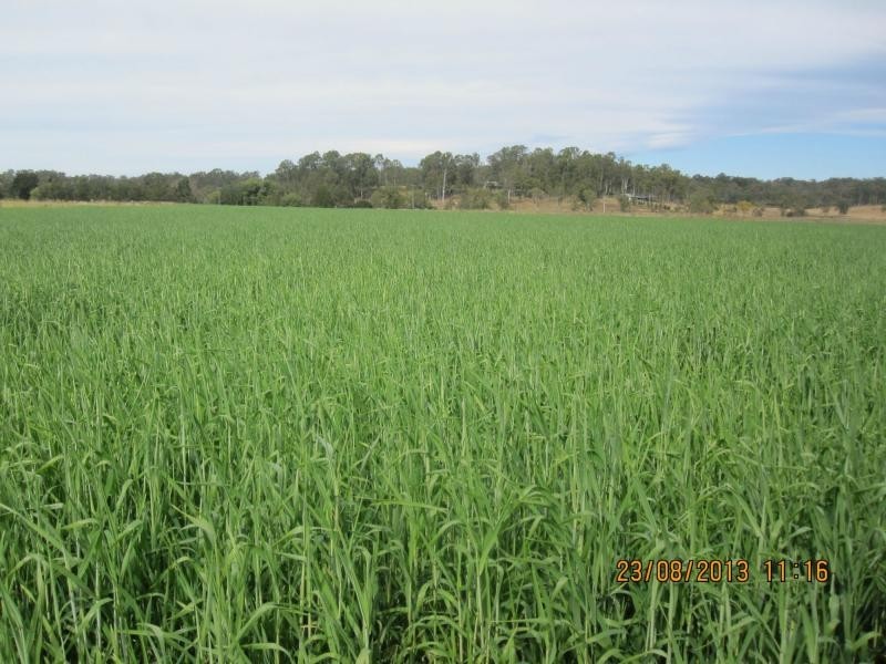 1521 Sextonville Road, Dobies Bight, Casino NSW 2470