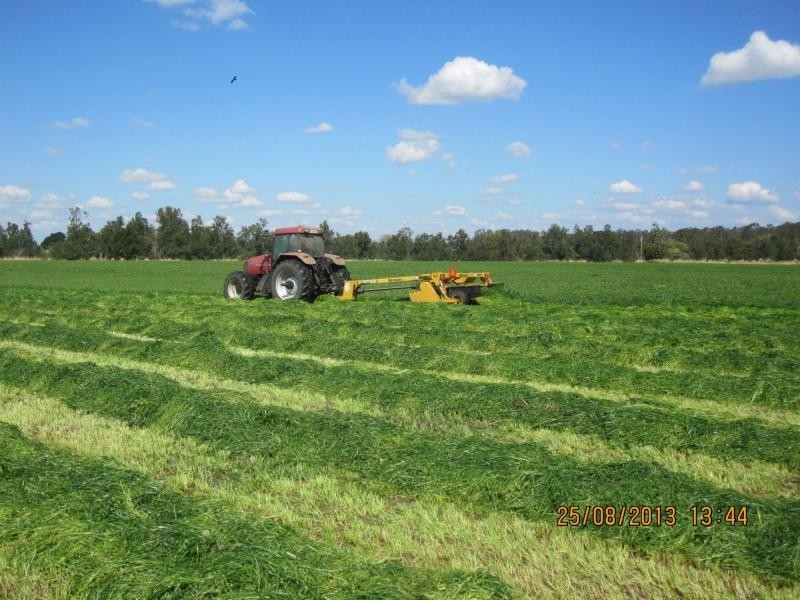 1521 Sextonville Road, Dobies Bight, Casino NSW 2470