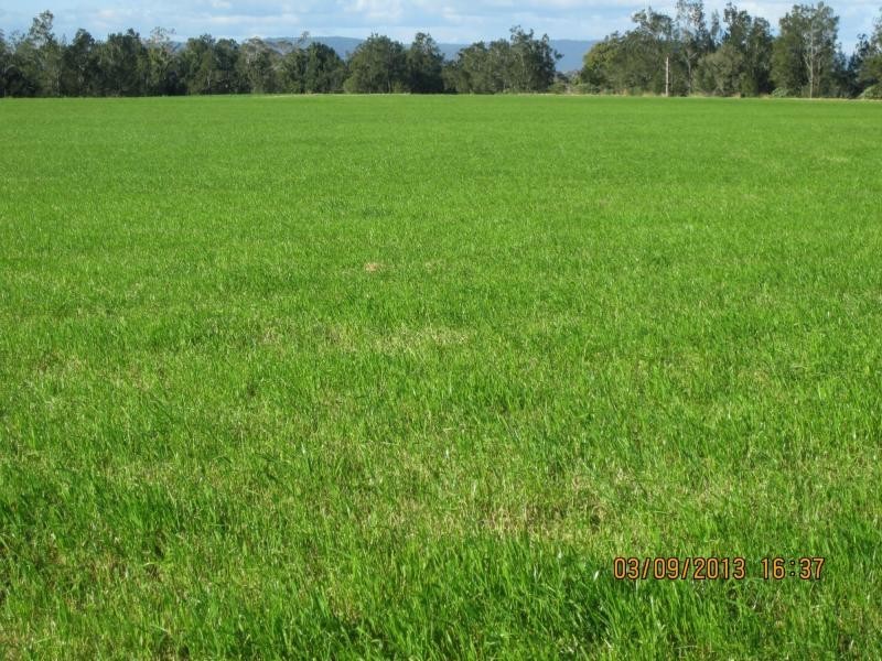 1521 Sextonville Road, Dobies Bight, Casino NSW 2470