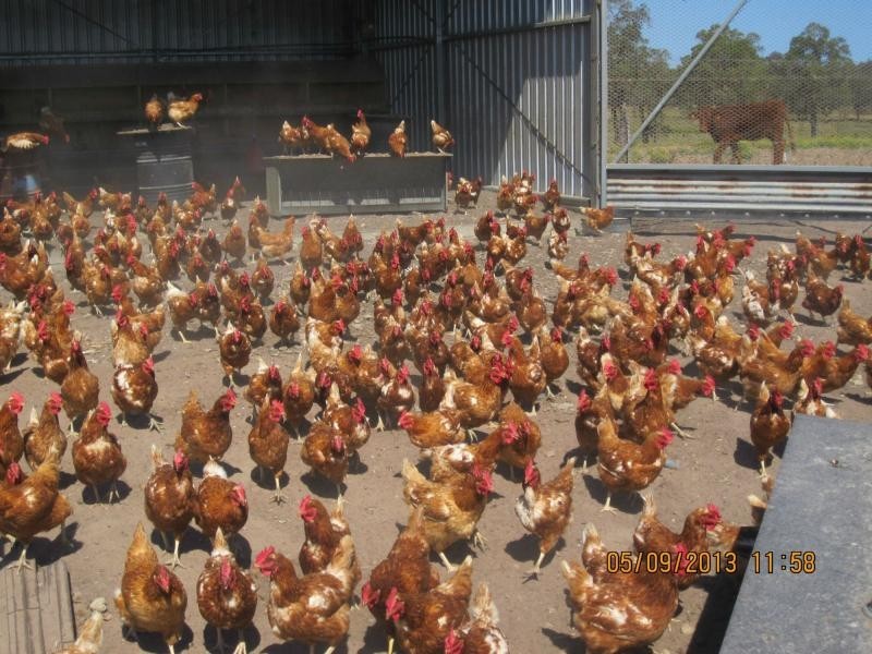 1521 Sextonville Road, Dobies Bight, Casino NSW 2470