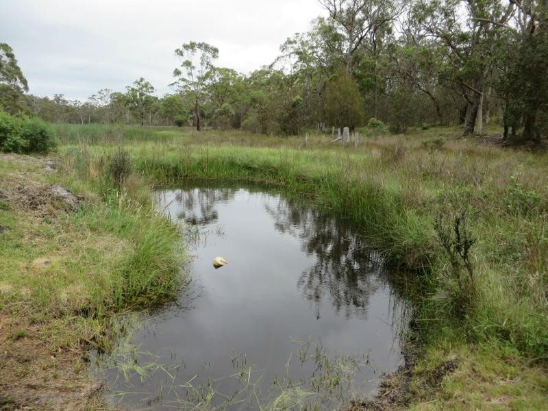 3203 Mount Lindsay Rd , TENTERFIELD, Boonoo Boonoo NSW 2372