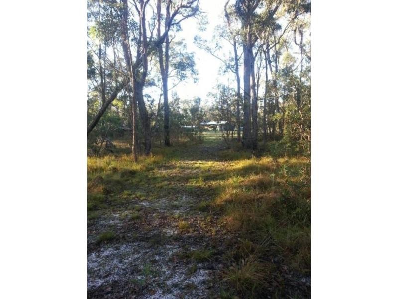 3203 Mount Lindsay Rd , TENTERFIELD, Boonoo Boonoo NSW 2372