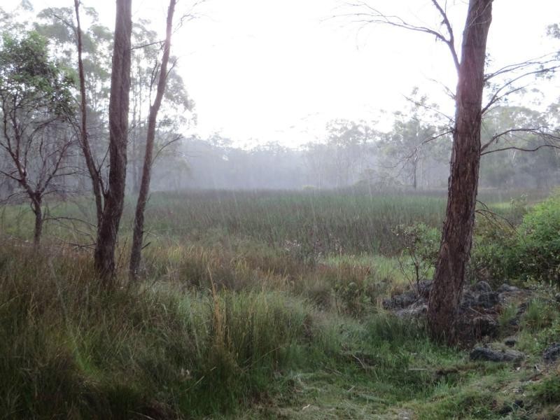 3203 Mount Lindsay Rd , TENTERFIELD, Boonoo Boonoo NSW 2372