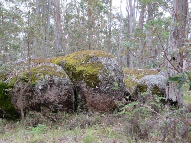 3203 Mount Lindsay Rd , TENTERFIELD, Boonoo Boonoo NSW 2372