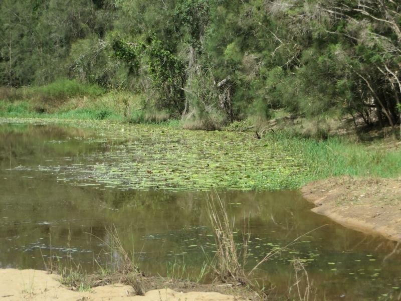 Myrtle Creek NSW 2469