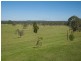 870 Ellangowan Road, Casino NSW 2470