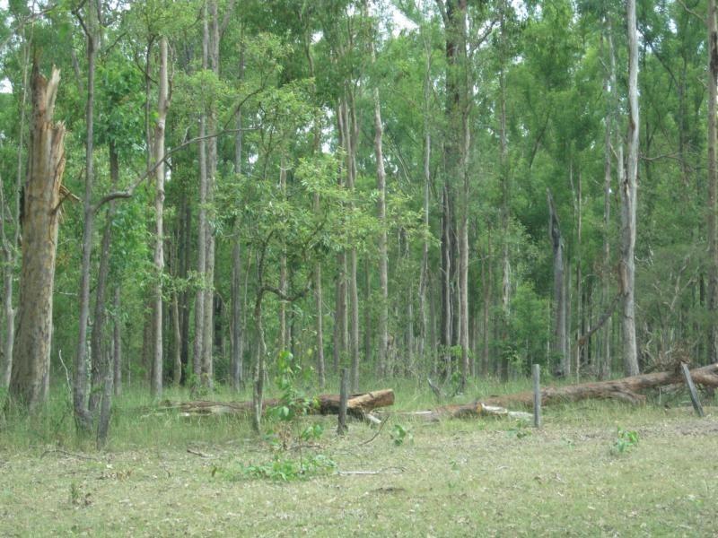 L87 Ducks Lane , Rappville, Rappville NSW 2469