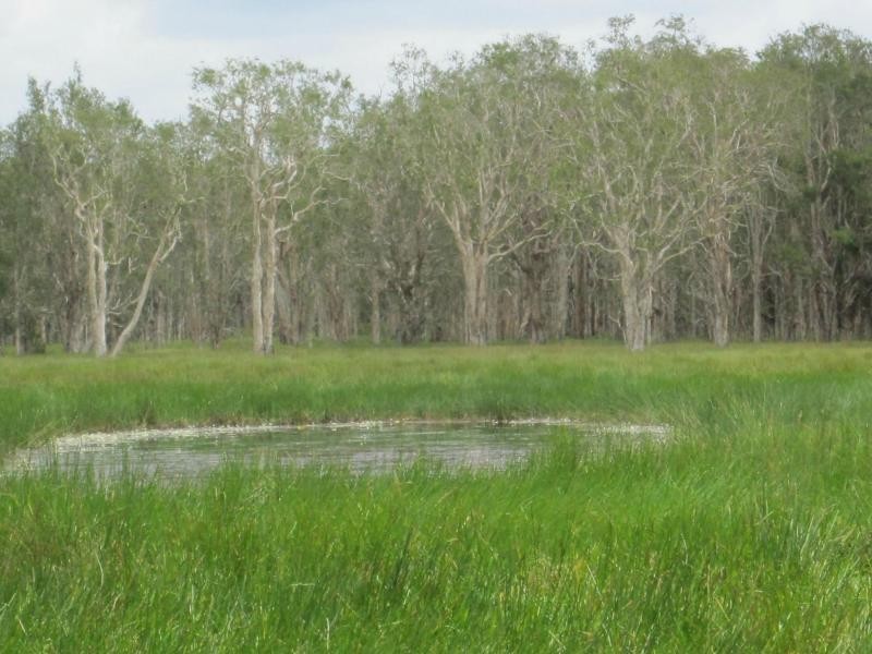 L87 Ducks Lane , Rappville, Rappville NSW 2469