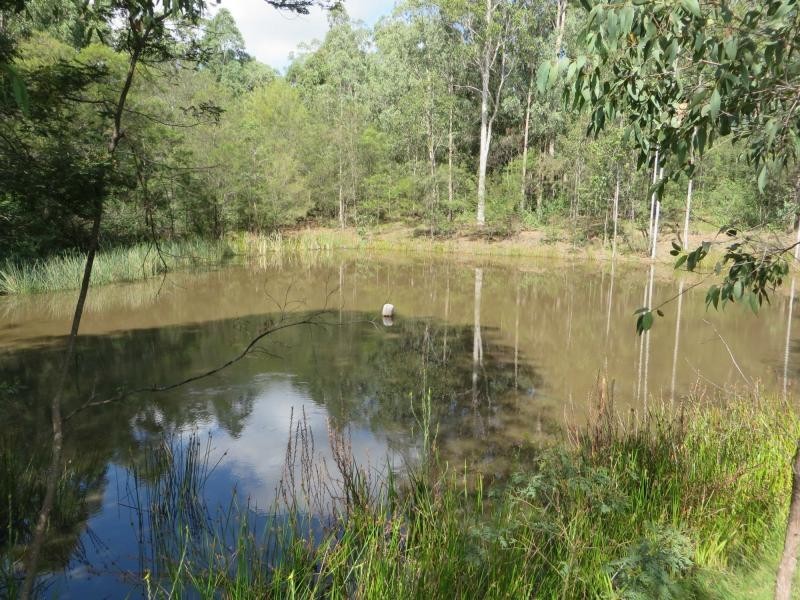 Mallanganee NSW 2469