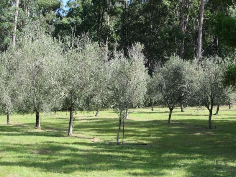 Mallanganee NSW 2469