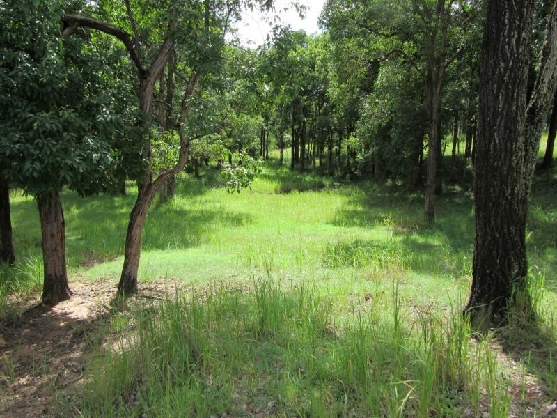 11607 Clarence Way, Tabulam NSW 2469