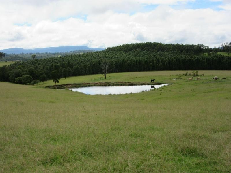 11607 Clarence Way, Tabulam NSW 2469