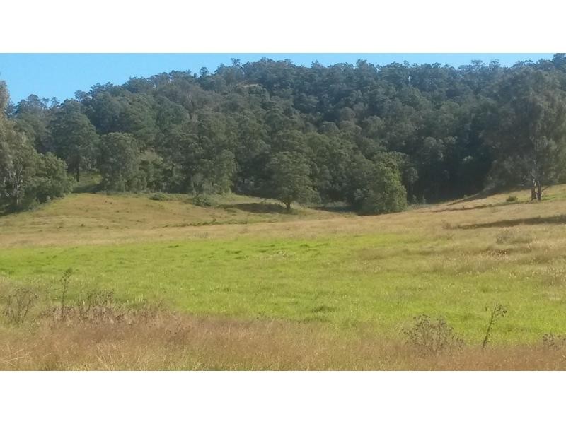 466 Dunns Road, Doubtful Creek, Kyogle NSW 2474