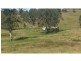466 Dunns Road, Doubtful Creek, Kyogle NSW 2474