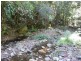 Wyan NSW 2469