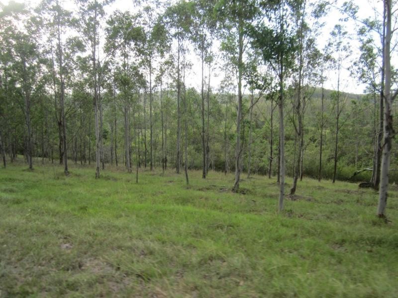 L12 Tabulam , Bottle Creek, Tabulam NSW 2469