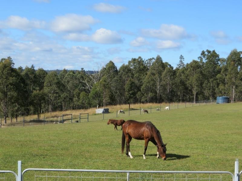 L2 Old Lawrence Rd , MALLANGANEE, Mallanganee NSW 2469
