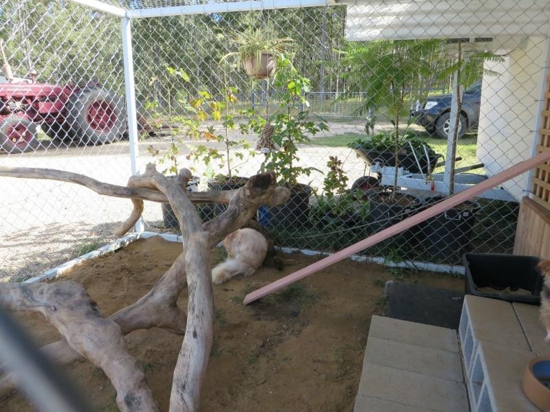 L2 Old Lawrence Rd , MALLANGANEE, Mallanganee NSW 2469