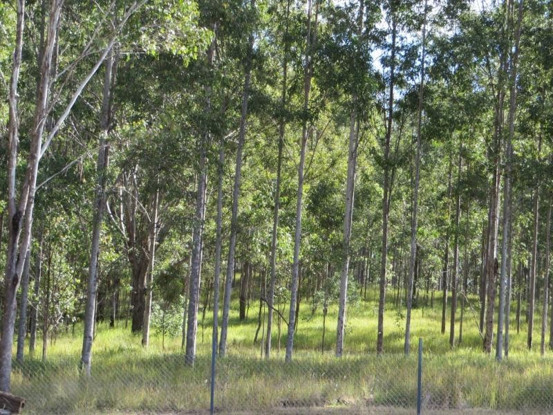 L2 Old Lawrence Rd , MALLANGANEE, Mallanganee NSW 2469