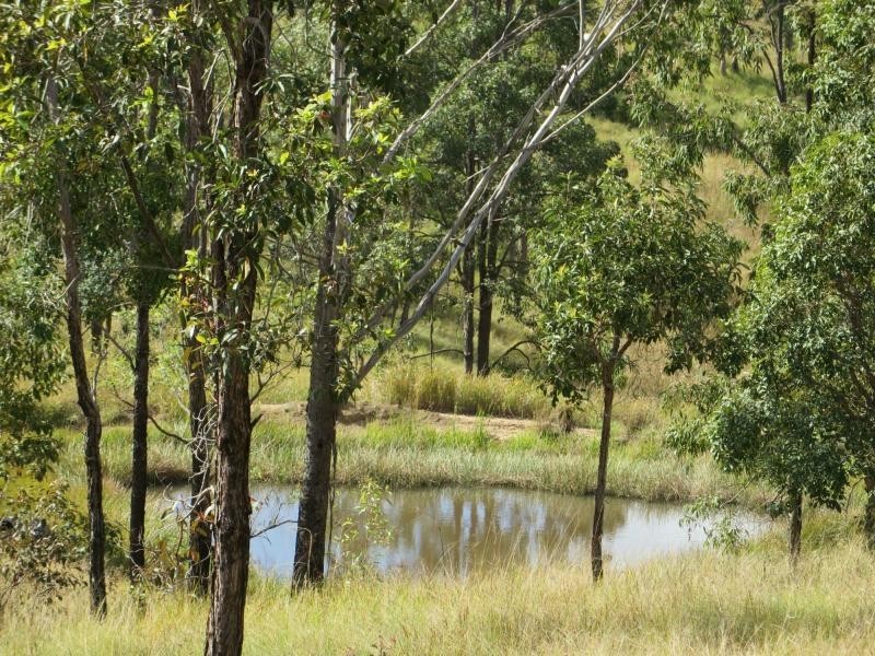 L2 Old Lawrence Rd , MALLANGANEE, Mallanganee NSW 2469