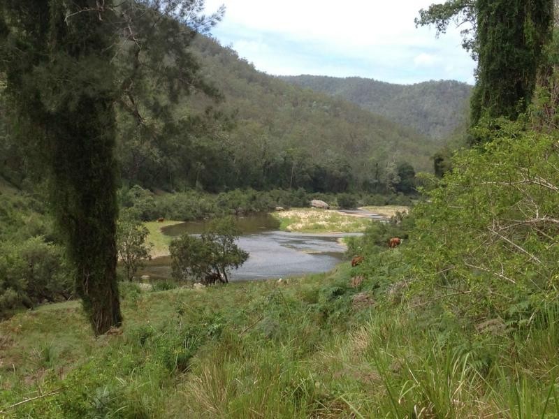 1200 Mud Flat Rd, Drake NSW 2469