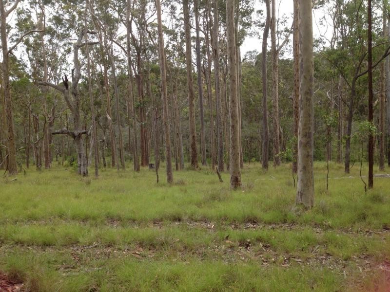 1200 Mud Flat Rd, Drake NSW 2469