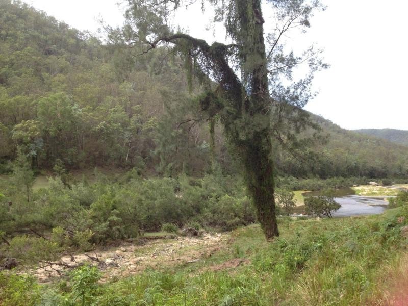 1200 Mud Flat Rd, Drake NSW 2469