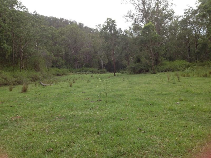 1200 Mud Flat Rd, Drake NSW 2469