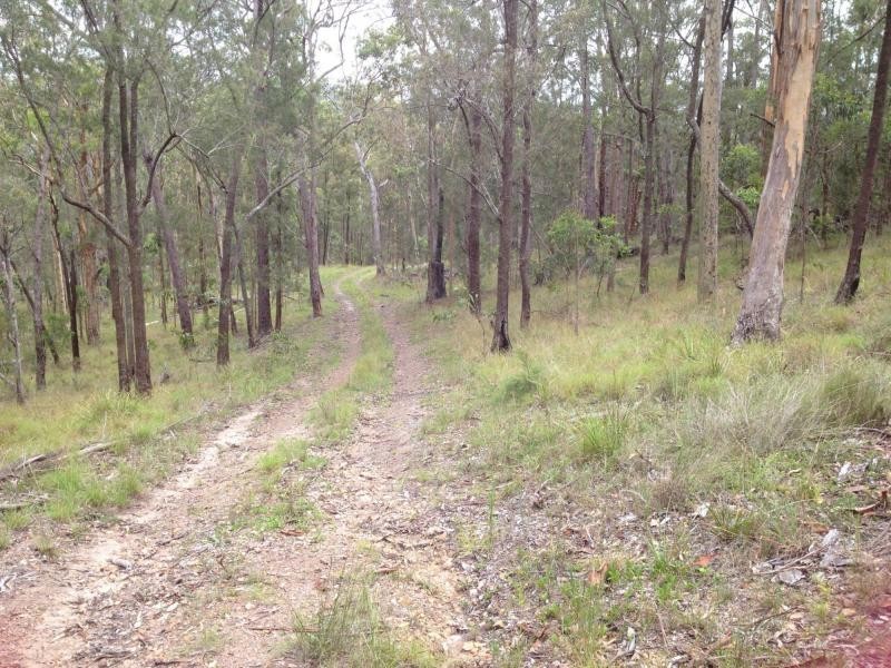 1200 Mud Flat Rd, Drake NSW 2469