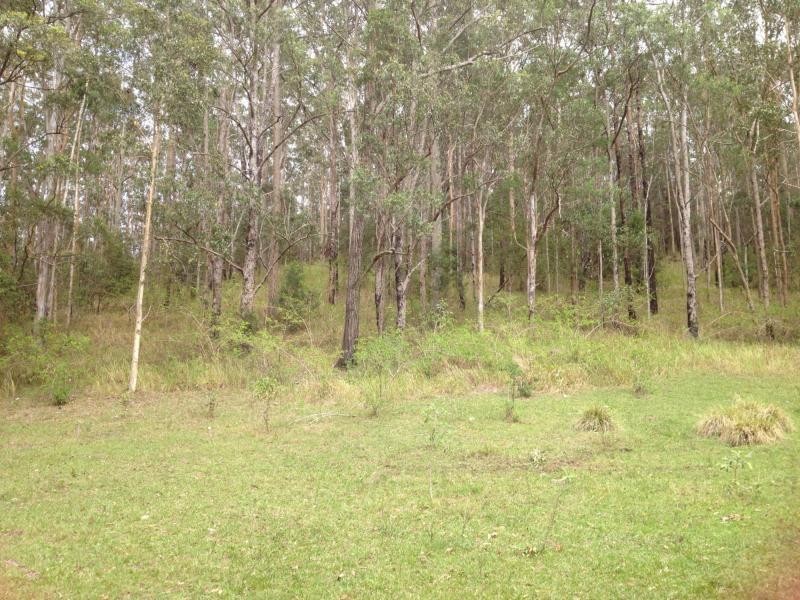 1200 Mud Flat Rd, Drake NSW 2469