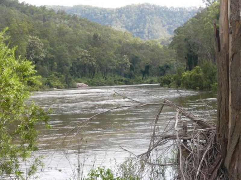 1200 Mud Flat Rd, Drake NSW 2469