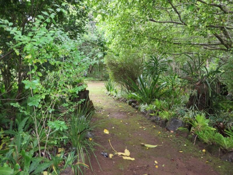 L1 Elliots Rd , Green Pigeon Via, Kyogle NSW 2474