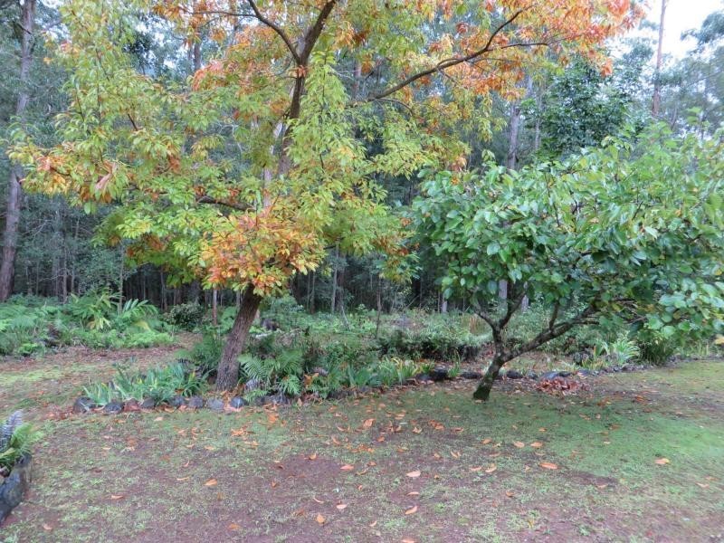 L1 Elliots Rd , Green Pigeon Via, Kyogle NSW 2474