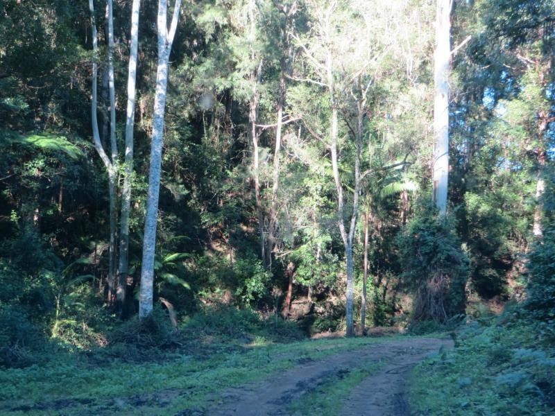 L1 Elliots Rd , Green Pigeon Via, Kyogle NSW 2474