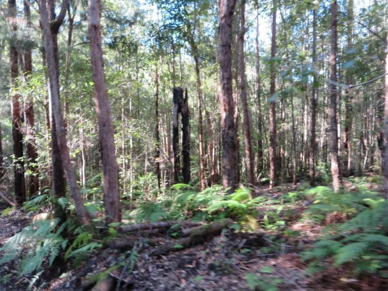 L1 Elliots Rd , Green Pigeon Via, Kyogle NSW 2474