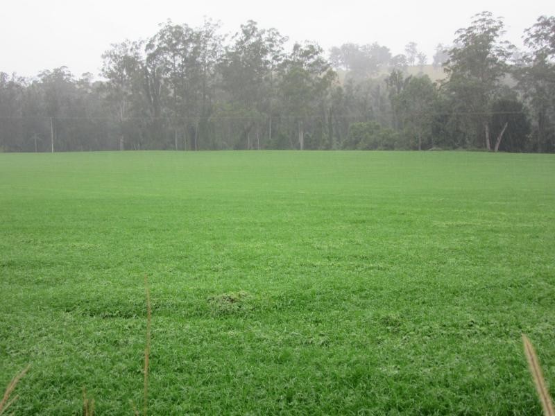 218 Ghinni Ghi Road, IRON POT CREEK, Kyogle NSW 2474