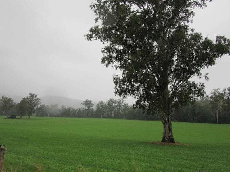 218 Ghinni Ghi Road, IRON POT CREEK, Kyogle NSW 2474