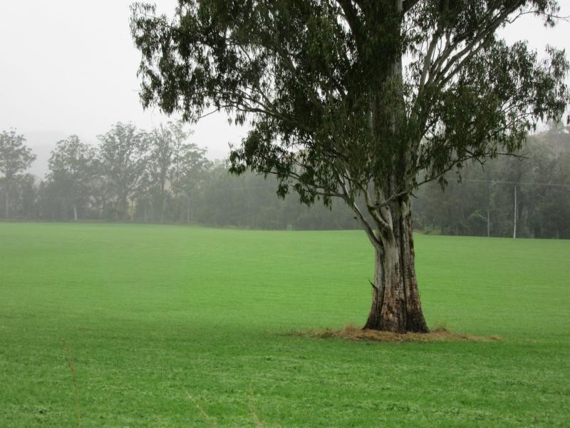 218 Ghinni Ghi Road, IRON POT CREEK, Kyogle NSW 2474