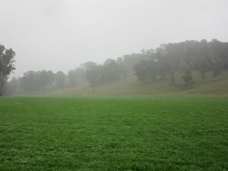 218 Ghinni Ghi Road, IRON POT CREEK, Kyogle NSW 2474