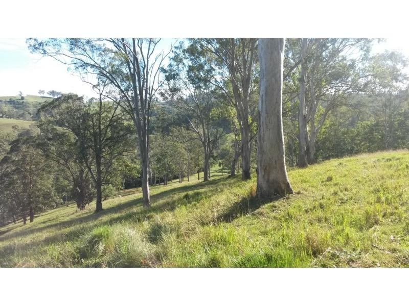218 Ghinni Ghi Road, IRON POT CREEK, Kyogle NSW 2474
