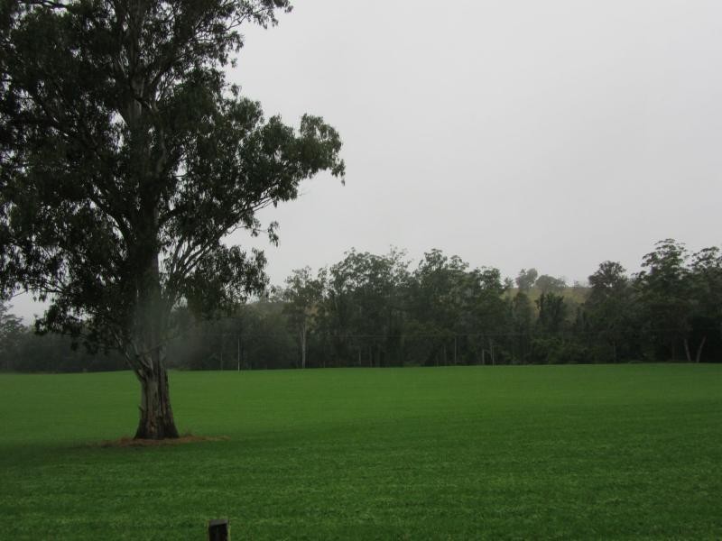 218 Ghinni Ghi Road, IRON POT CREEK, Kyogle NSW 2474