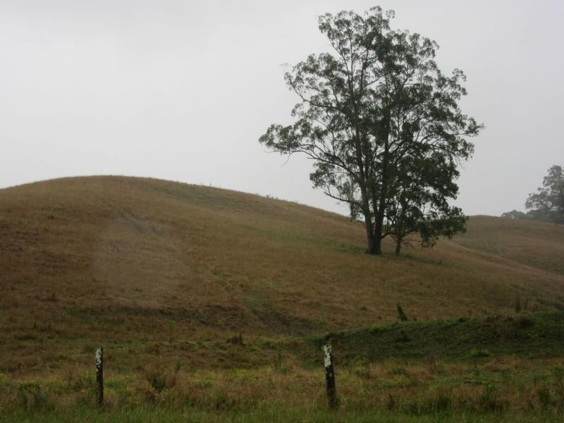 218 Ghinni Ghi Road, IRON POT CREEK, Kyogle NSW 2474