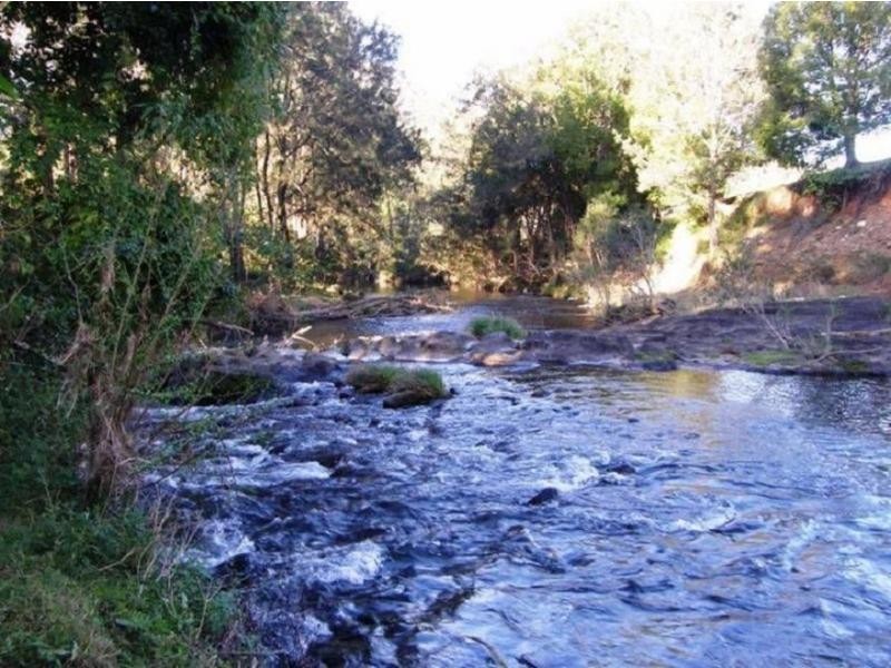 8 Brindle Creek Road, Loadstone, Kyogle NSW 2474