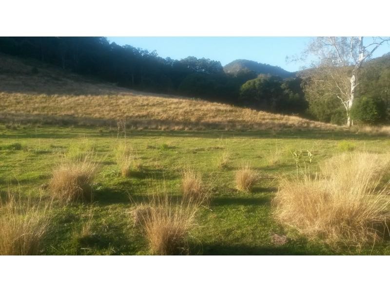 8 Brindle Creek Road, Loadstone, Kyogle NSW 2474