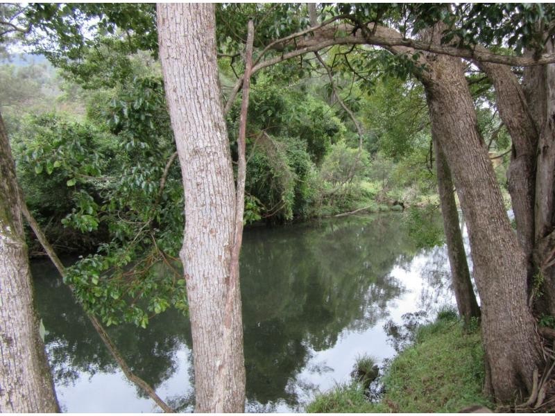 8 Brindle Creek Road, Loadstone, Kyogle NSW 2474