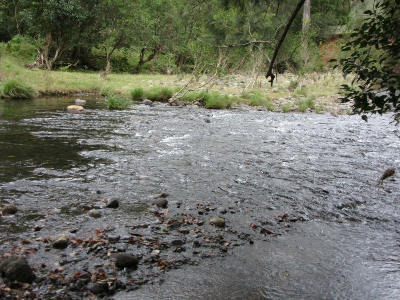 8 Brindle Creek Road, Loadstone, Kyogle NSW 2474