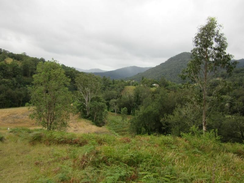 8 Brindle Creek Road, Loadstone, Kyogle NSW 2474
