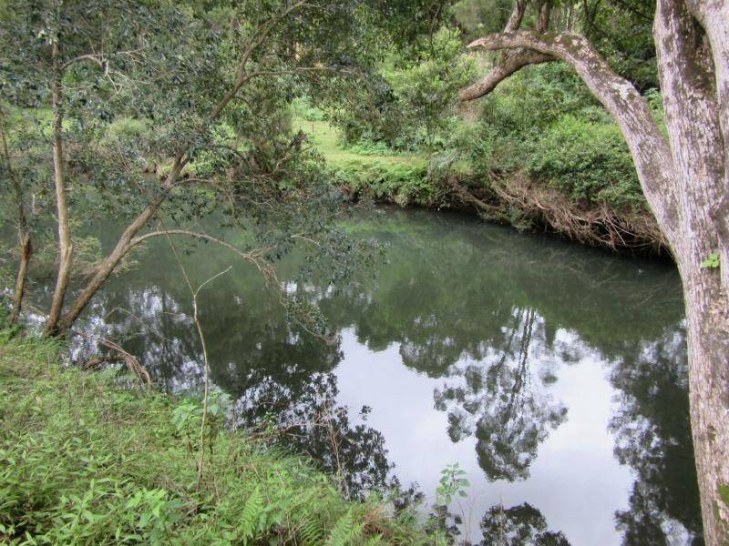 8 Brindle Creek Road, Loadstone, Kyogle NSW 2474