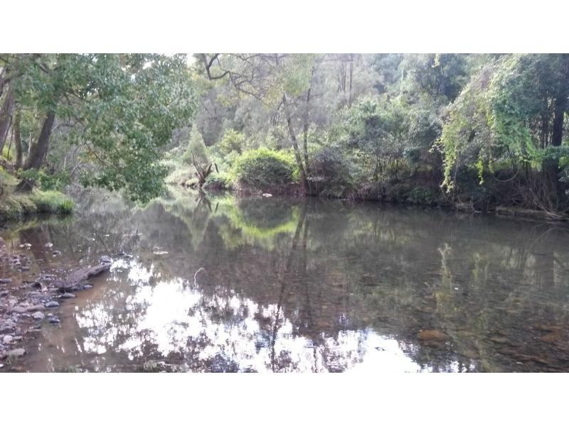 8 Brindle Creek Road, Loadstone, Kyogle NSW 2474